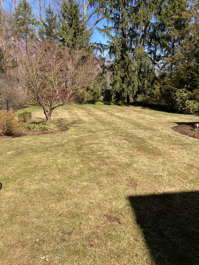 spring cleanup yard